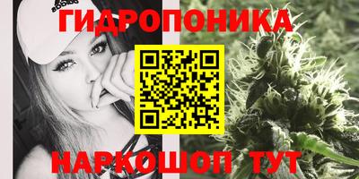 сатива Краснодар