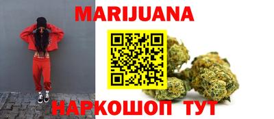 сатива Краснодар
