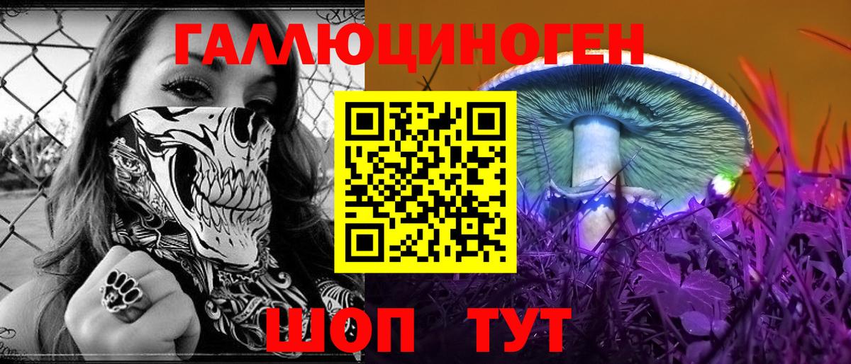 Псилоцибиновые грибы GOLDEN TEACHER  Вход с VPN  где можно купить   Железноводск 